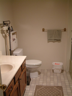 Picture of downstairs bath